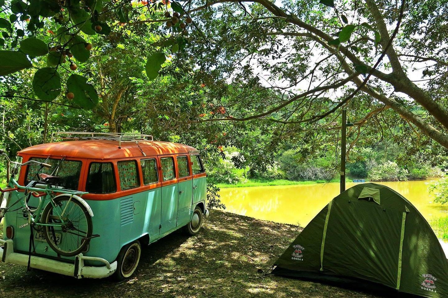Kombi sob a árvore, à beira do lago